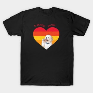 My Valentine Has Paws T-Shirt